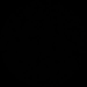 Meet your Posher, Chelsea